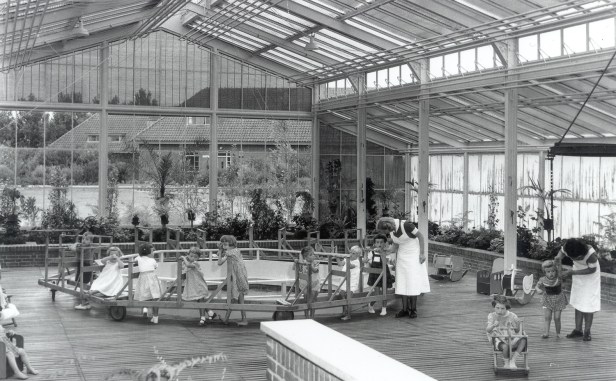 1950 oude orchidee wintertuinmolen