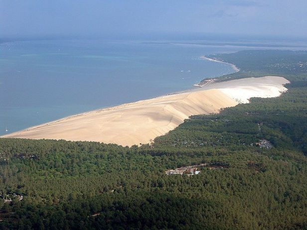 Het Dune de Pyla dat een dennenbos verder overwoekert