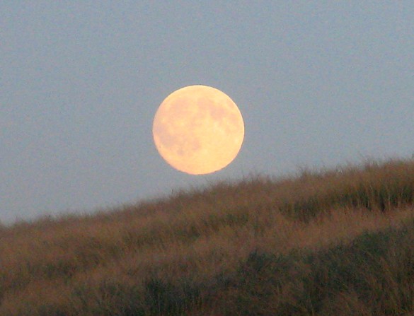 volle_maan_over_de_duinen