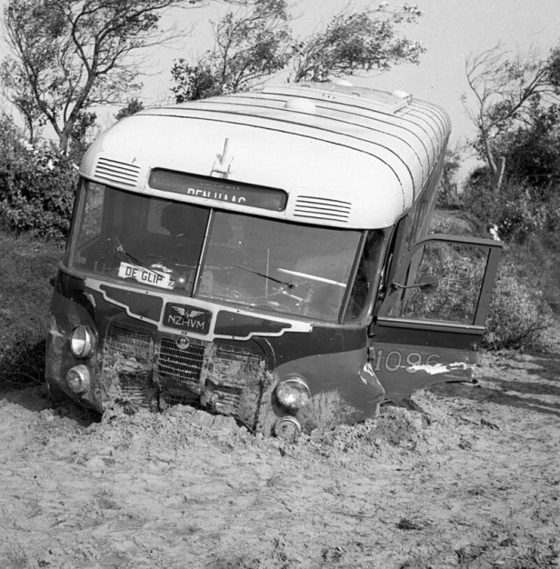bus