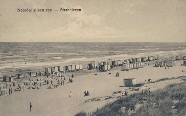 strand