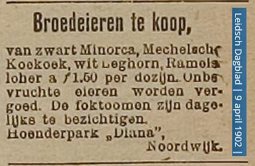 gijs2