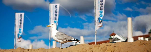 strandpaviljoen-nederland-1020x353