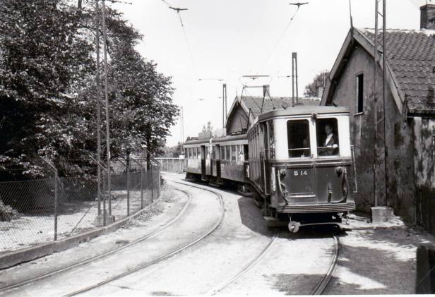 10519191_734056343320369_5271388357755550280_o