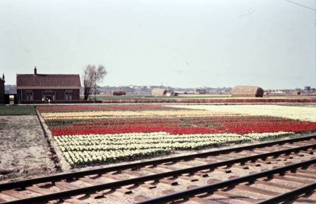 11020278_872970532763412_987592788587176350_n