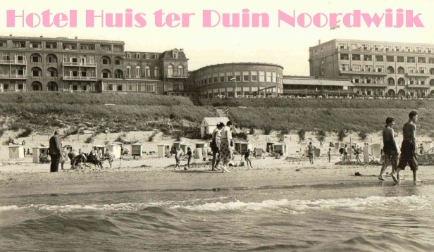 huis ter duin