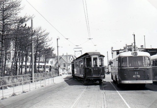 12507318_754888954611132_1111820241731663800_n