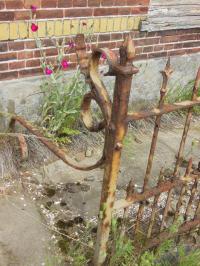 12742728_982163058527922_3085125511088369389_n