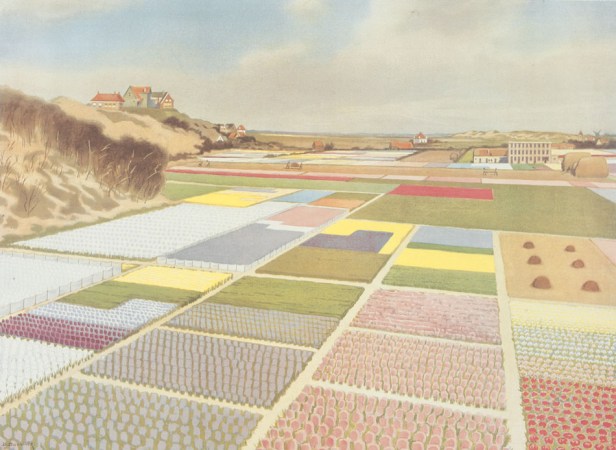 Bloembollenteelt bij Noordwijk aan Zee , 1914.