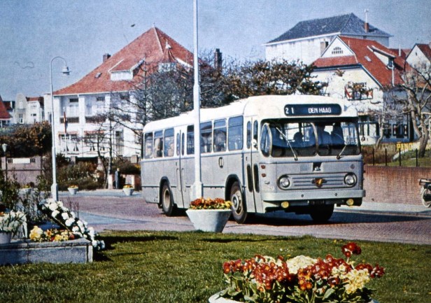 14876468_1811359705812500_5267622109208783670_o