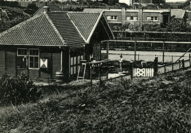 kruidje