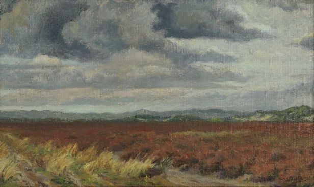 Willemfrederikdehaas