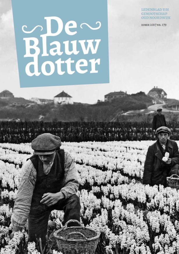 blauwdotter
