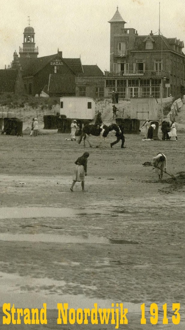 strandnoordwijk