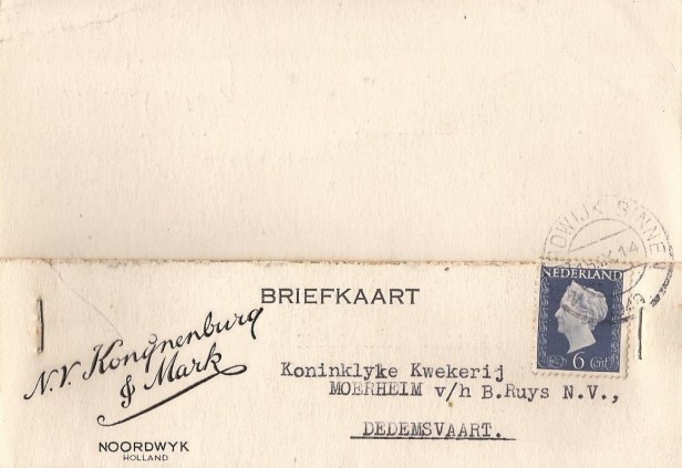 briefkaart
