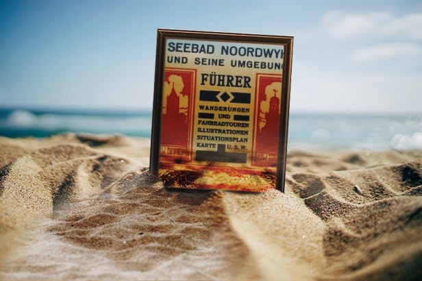 15224031271269571784