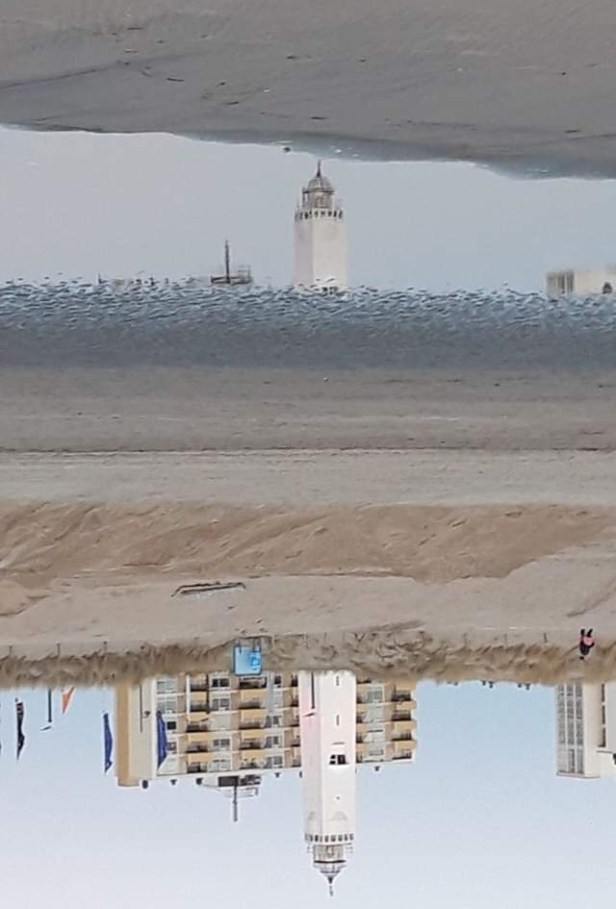 6BC78E99-DCEE-460D-AD44-DA042B05DDD0